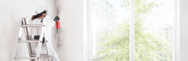 Asbestos and Lead Testing During Mold Inspection in Seaside, OR